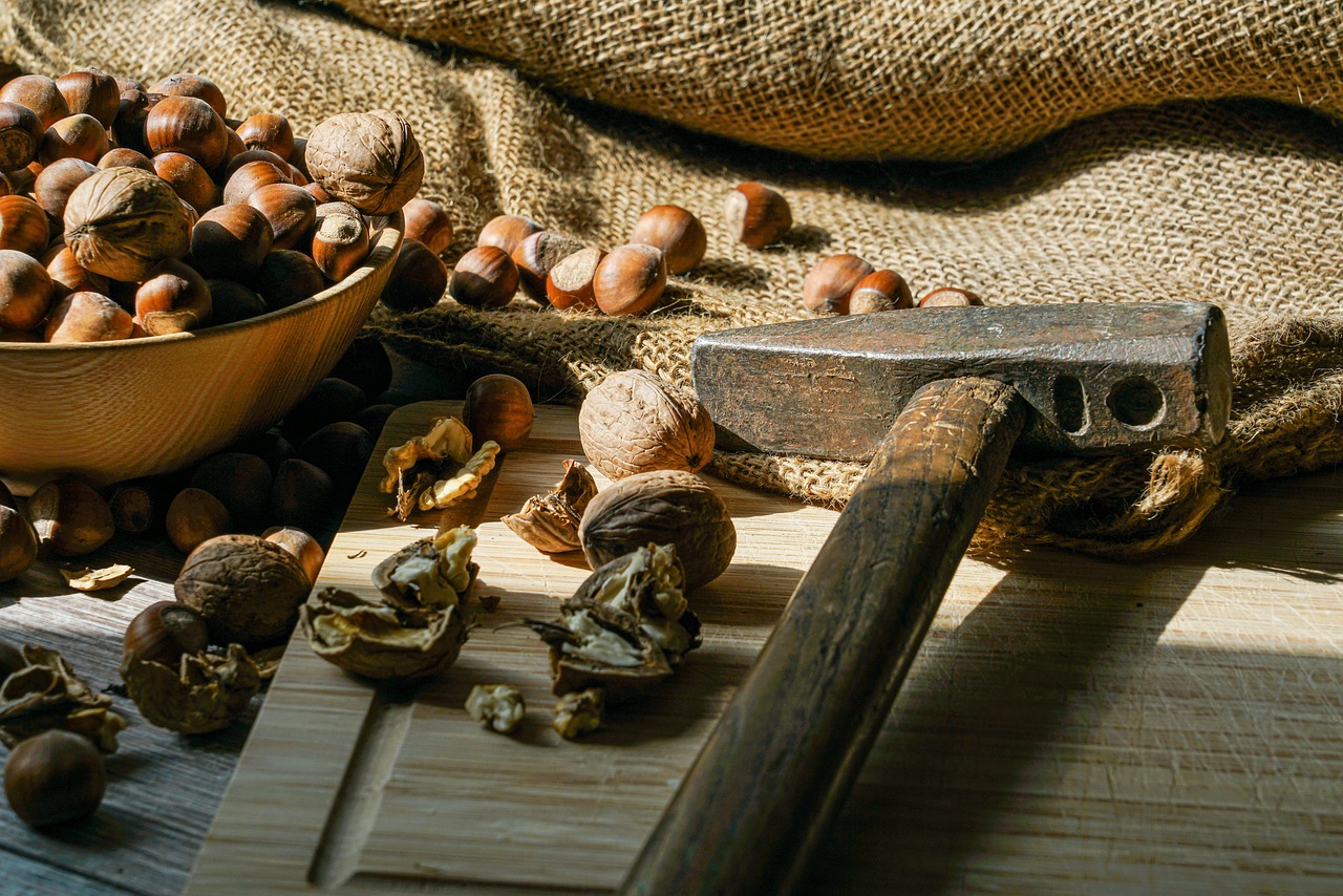 Nuts, hazelnuts, harvest — At Last Real Psychics Los Angeles