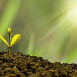 Investment, concept, business — Beyond Limits: Dr Vidal Sheen 's Holistic Approach to Chronic Injury Rehabilitation