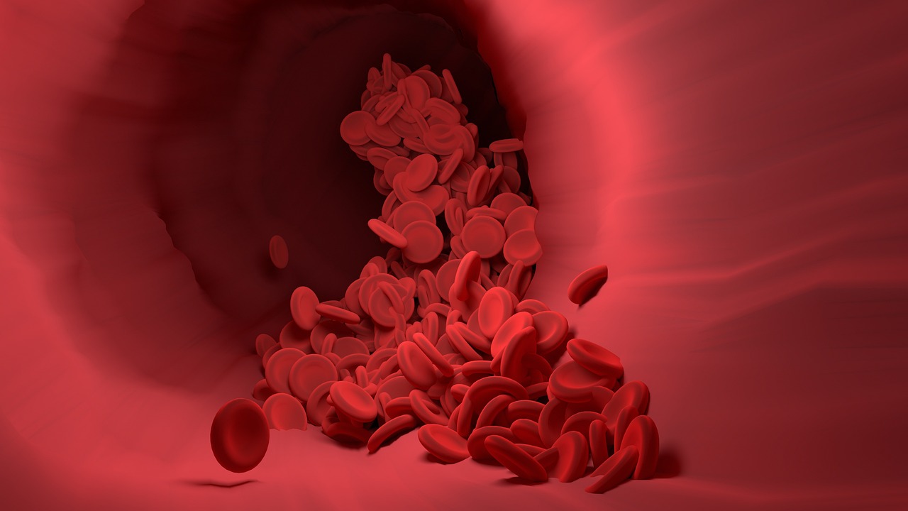 Red blood cells, blood vessel, blood flow — Chlamydia Testing - Long-Term Symptoms of Chlamydia