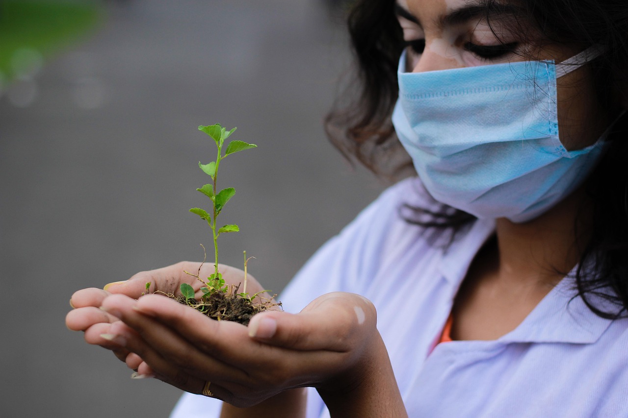 Plant, seedling, researcher — Difference Between Full-Spectrum and Isolated-Based CBD