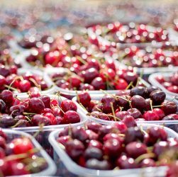 Cherries, fruit, tubs — Discussing Anti-Anxiety Medicines with Your Doctor