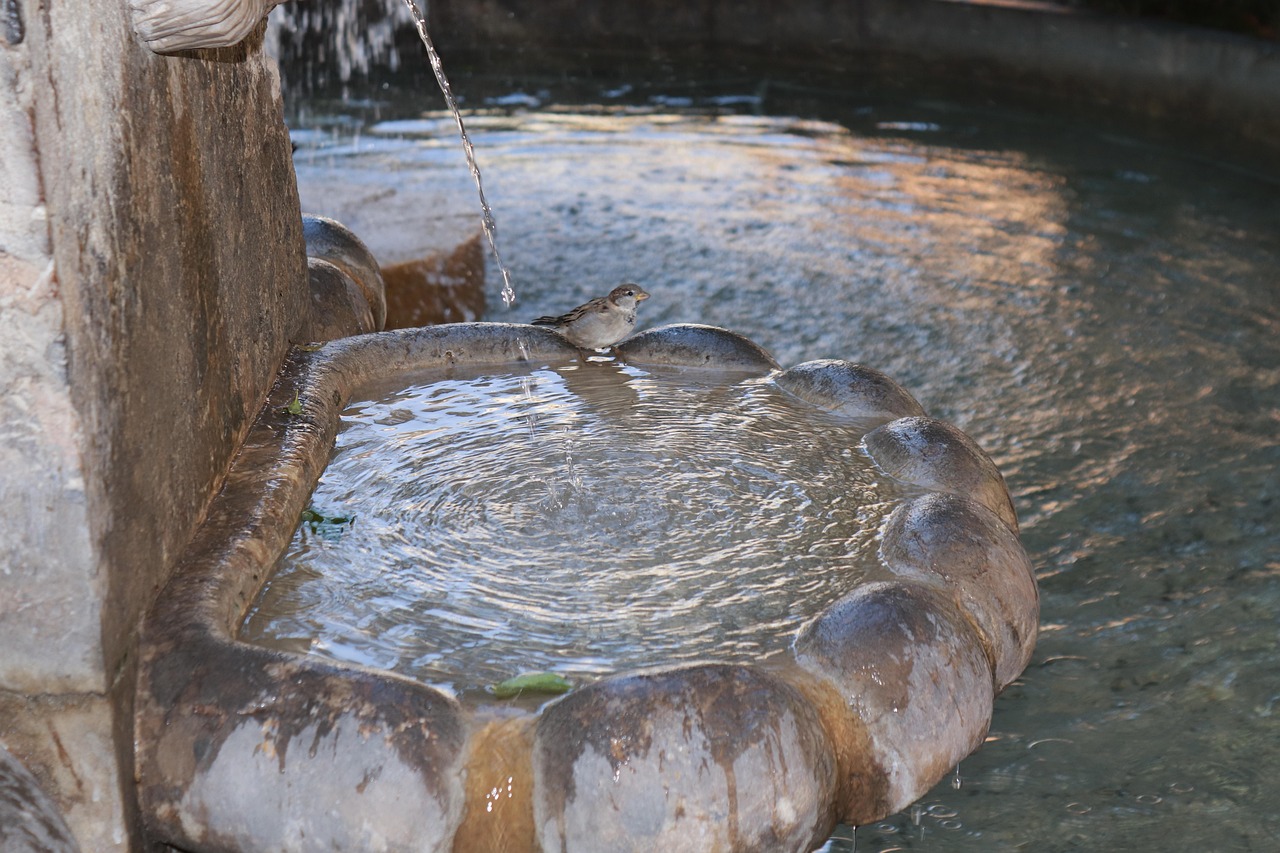 Water feature, fountain, bird — Factors To Find A Manufacturer Of Round Lucite Serving Tray For Your Business