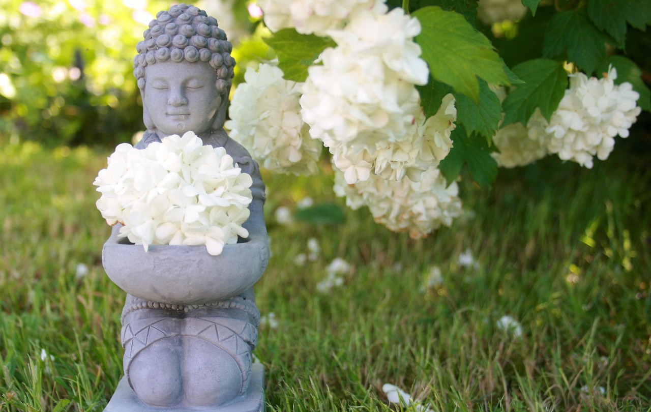 Buddha, wellness, meditation — Finding the best dance studio in Houston Texas