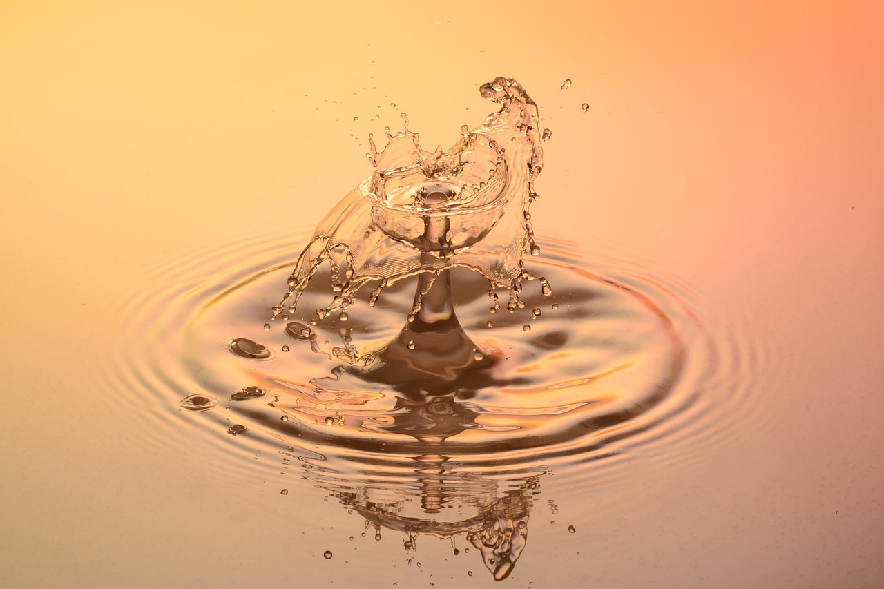 Drops, water, nature — Greenhouse: a combination of farming and technology