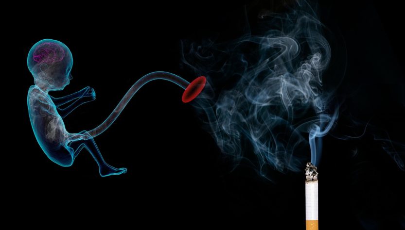 Tobacco, smoke, pregnancy — HHC Fluid as a Catalyst for Enhanced Cognitive Performance: What You Need to Know