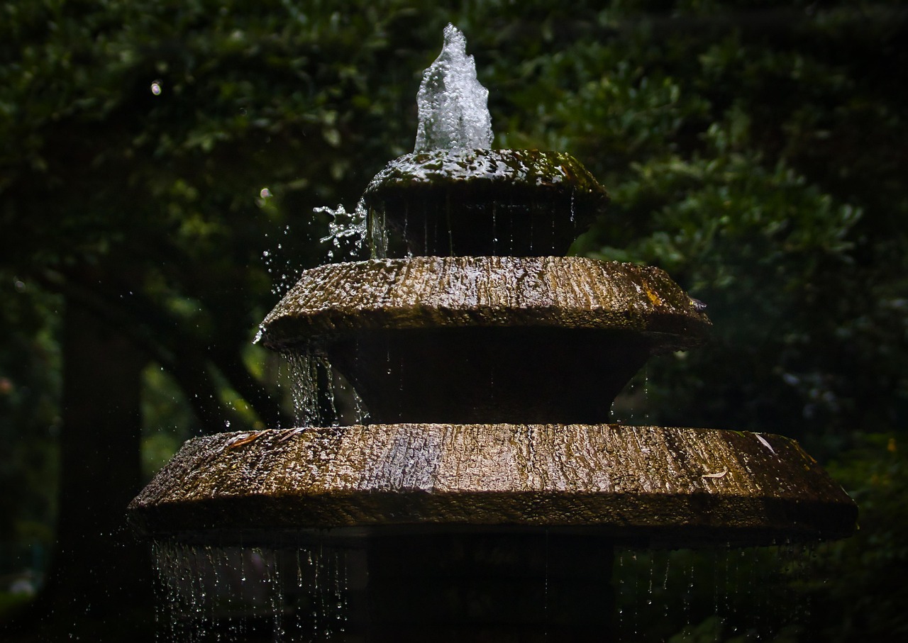 Fountain, drops, nature — How to Get Vitamin D in the Winter: 5 Effective Methods