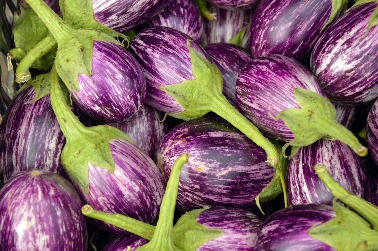 Eggplant, fruit, vegetables — How to Ship Fitness and Exercise Equipment