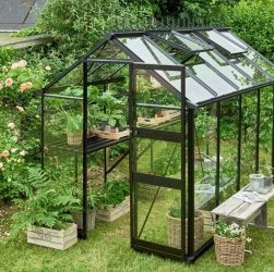 Indoor Greenhouses for Year-Round Gardening