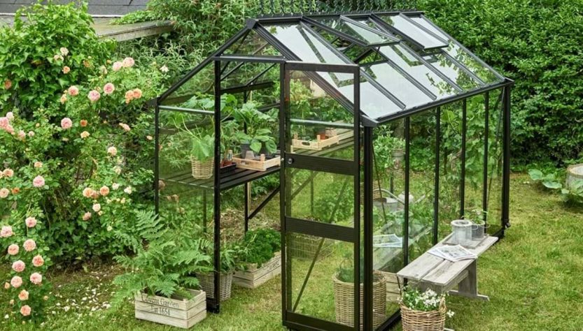 Indoor Greenhouses for Year-Round Gardening