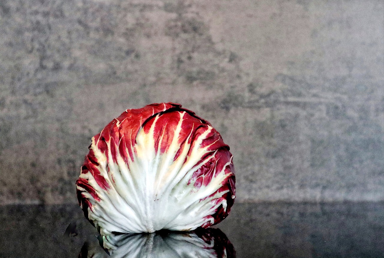 Salad, radicchio, food — Is it worth purchasing a Laser Hair Removal Device?