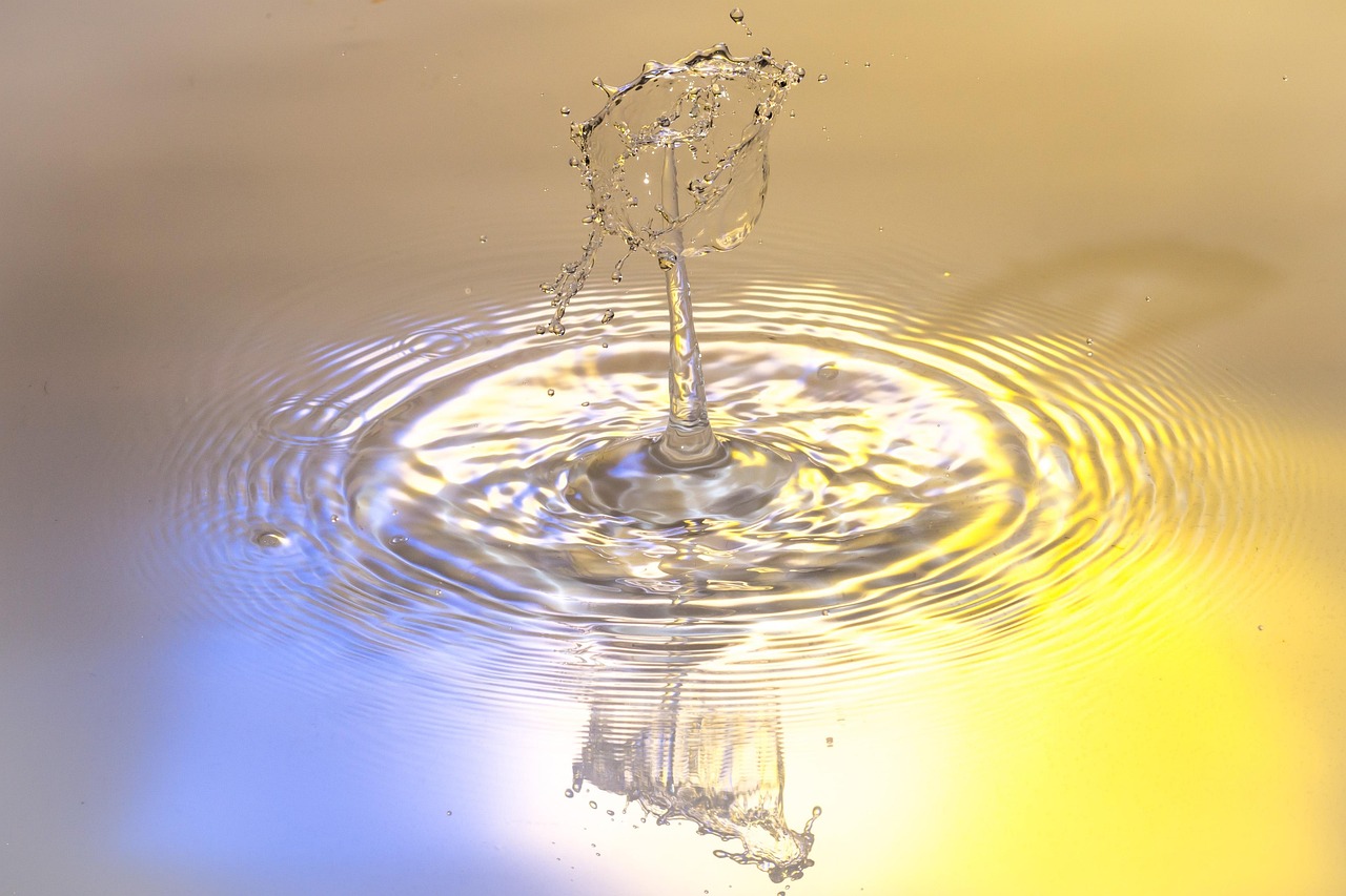 Drops, water, nature — Licensing Provisions for New Jersey cannabis manufacturing license
