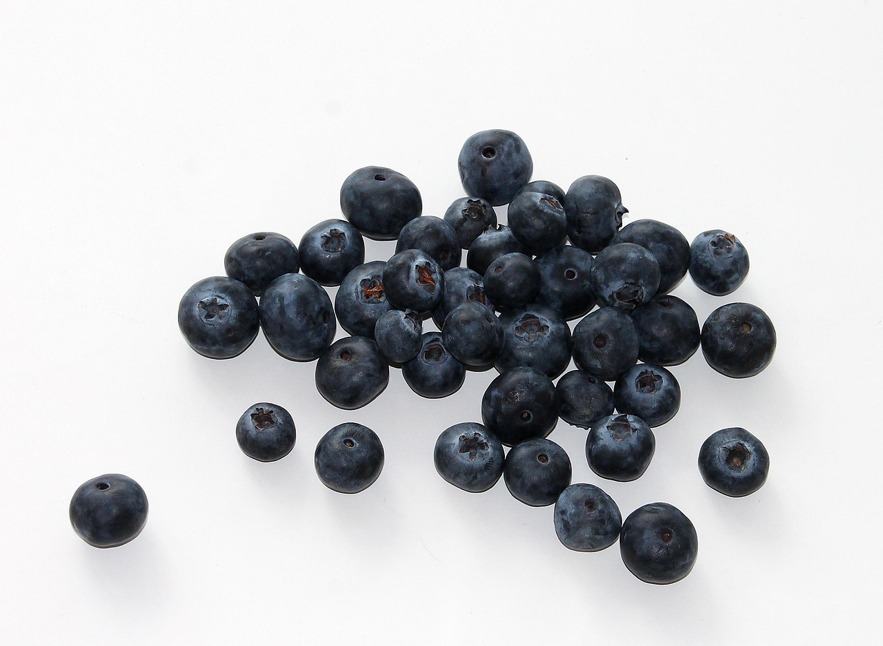 Blueberry, fruit, food — Recommendations For Children's Visual Health In Front Of Screens And New Technologies