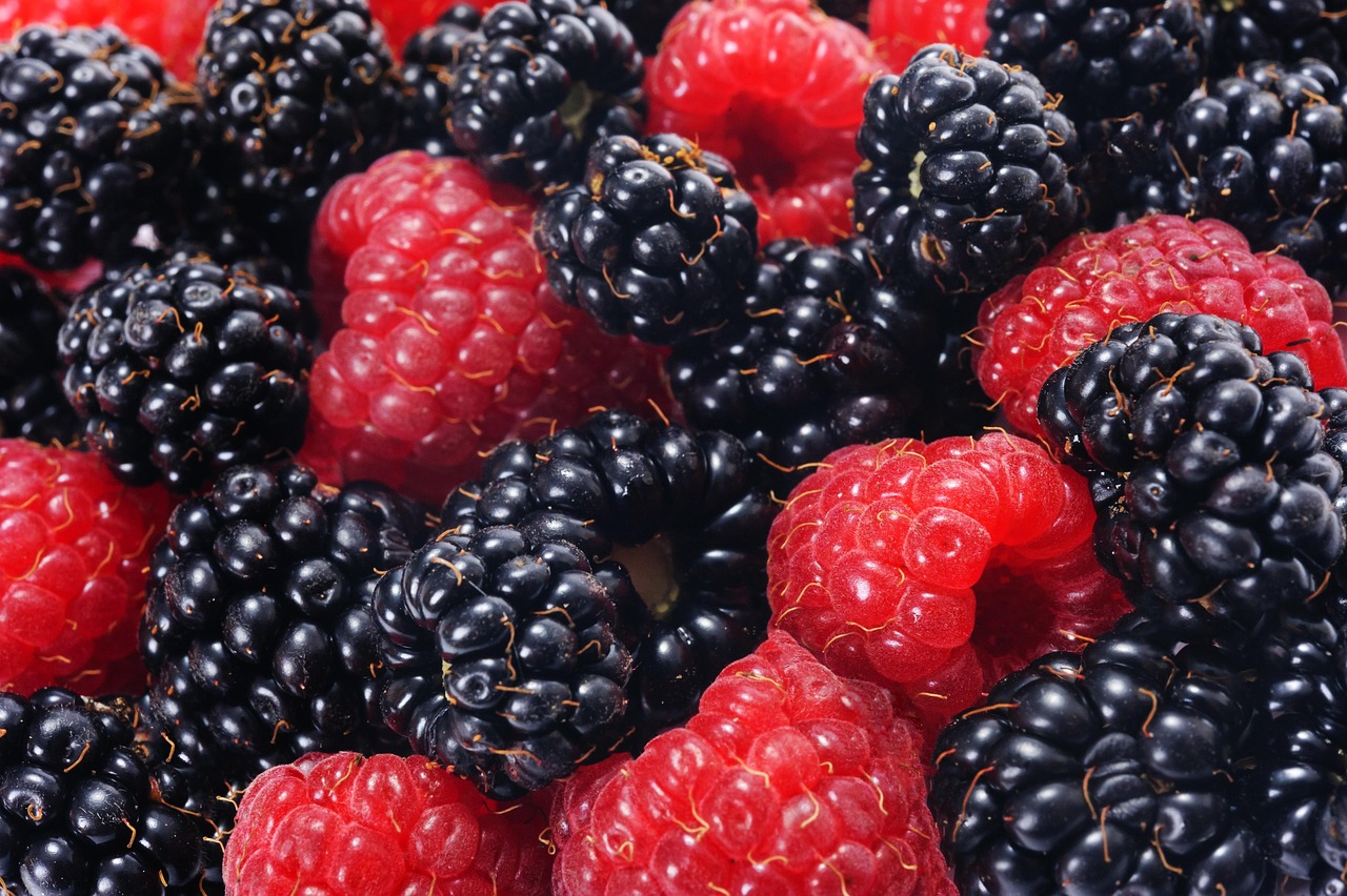 Raspberries and blackberries, forest fruits, closeup — Several uses of the premium hemp CBD flower