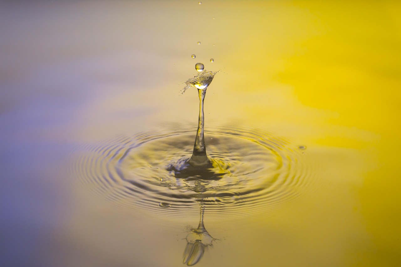 Drops, water, nature — The Right Options for the Disable Care Now