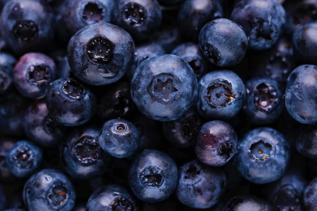 Blueberries, fruits, harvest — UnHealthy GMOs