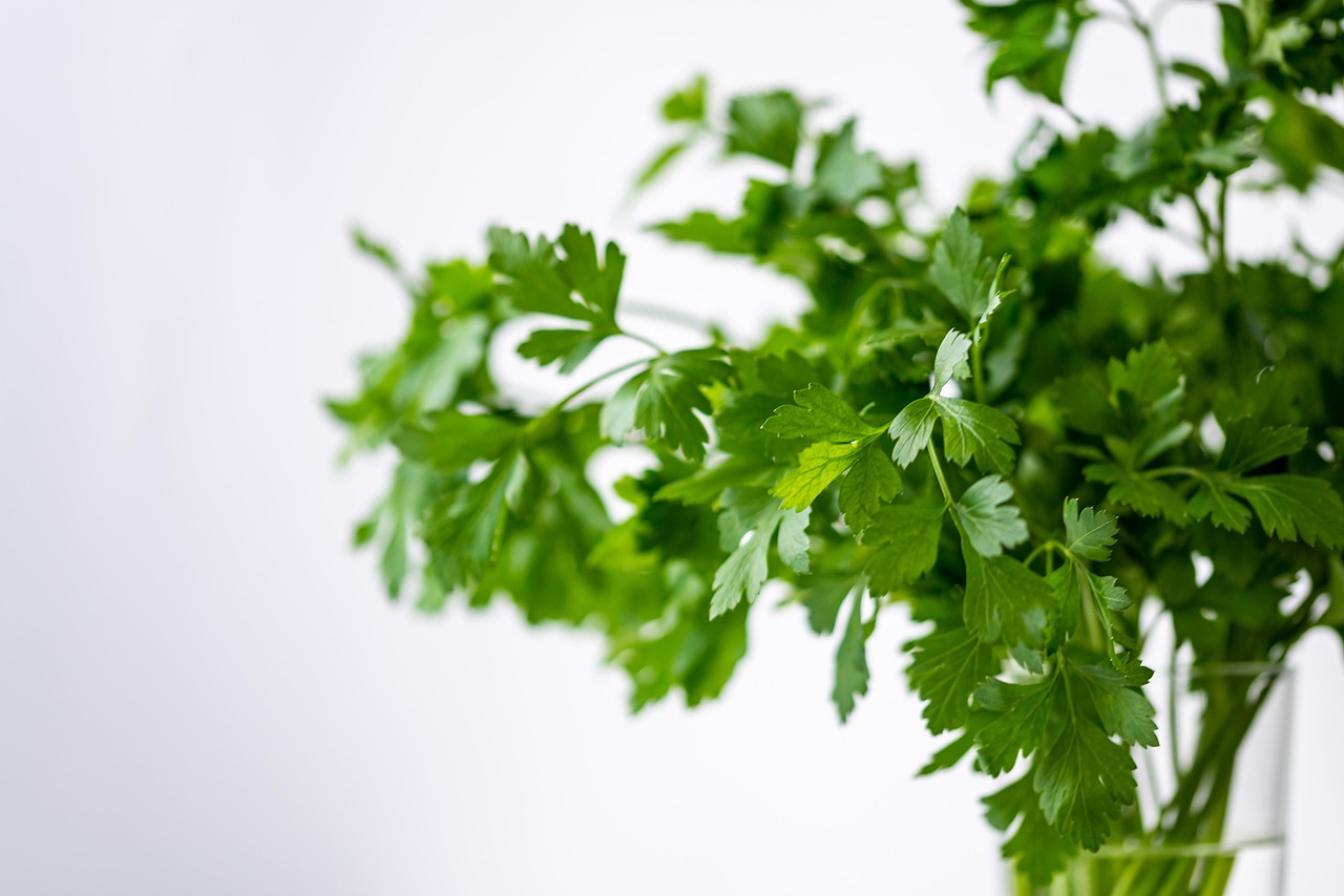 Parsely, green, nature — Use Products That Are Right & Appropriate For Your Skin Type