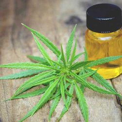 Use various type of CBD products for health benefits