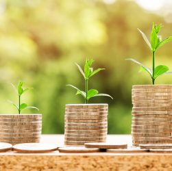 Money, profit, finance — Vidalista Wholesale: Your Source for Quality and Affordable ED Medication