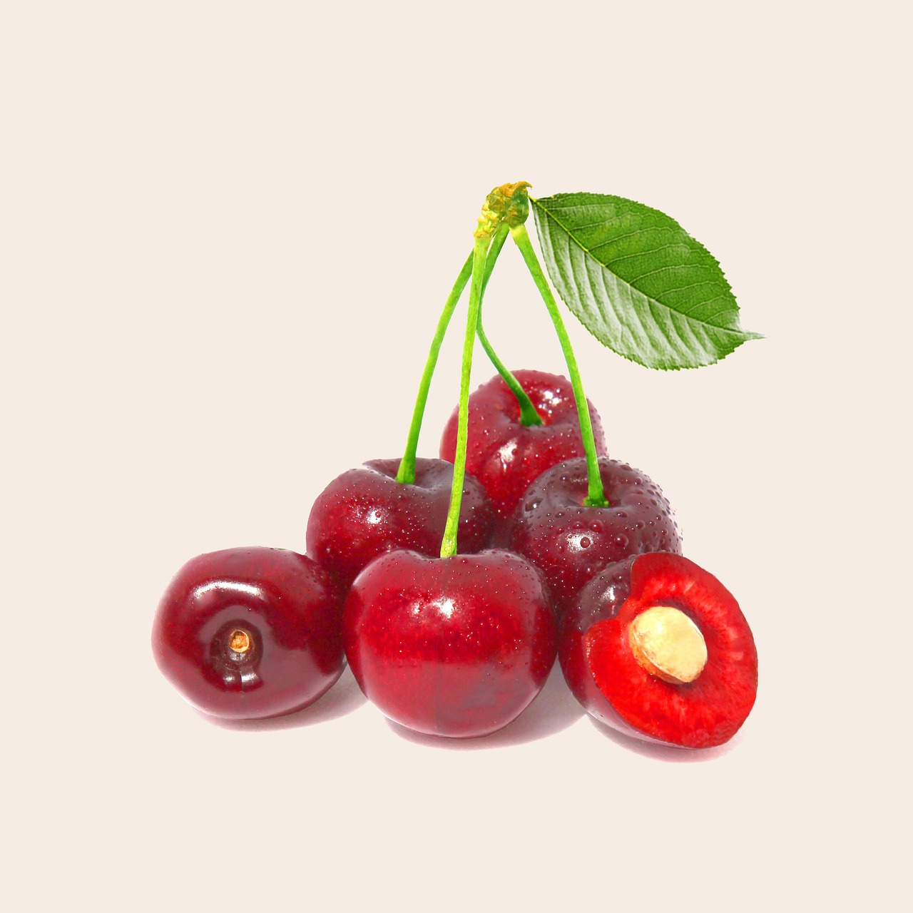 Cherry, fruit, health — What Are Opioids and How Do They Work?: A Scientific Look Into Opioids