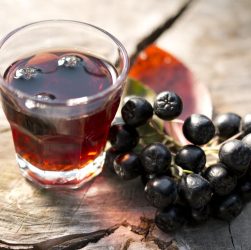 What are the health benefits of the Aronia Berries?