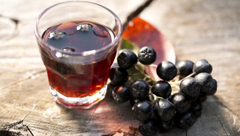 What are the health benefits of the Aronia Berries?