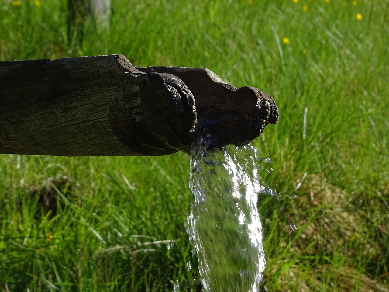 Water feature, meadow, watercourse — What Are The Things That You Can Learn From A Professional Resume Builder?