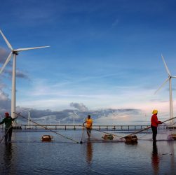 renewable energy cooperation