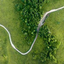 Aerial view of a winding dirt road through lush green fields and trees.